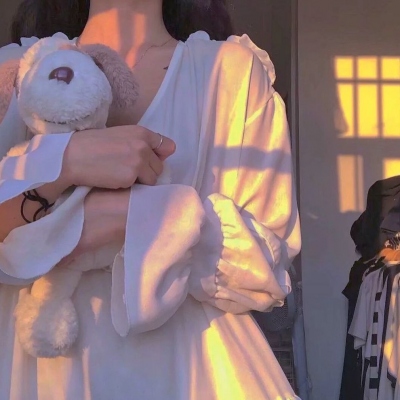 我的系统偏爱女神