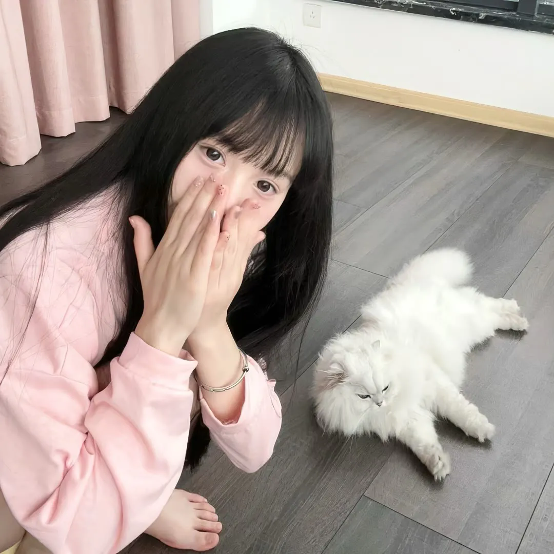 山河无恙刀未锈